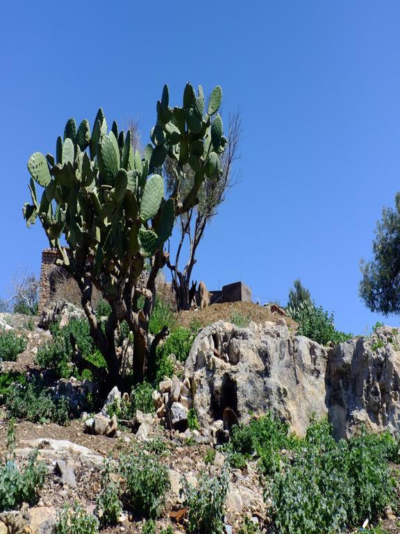 Riad Cascades D'Ouzoud Extérieur photo